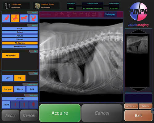 Opal-RAD veterinary acquisition workstation showing a canine lateral abdomen