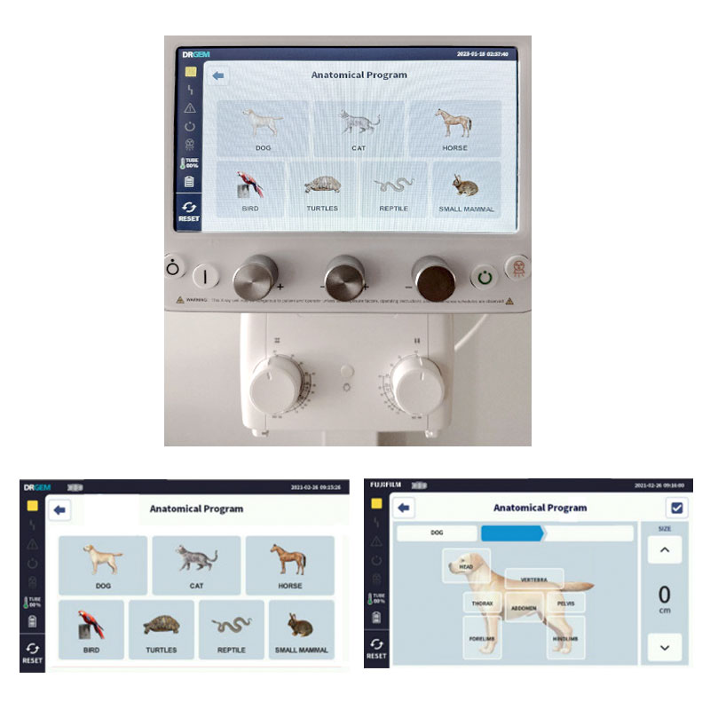 Veterinary anatomical-program console under contract coverage